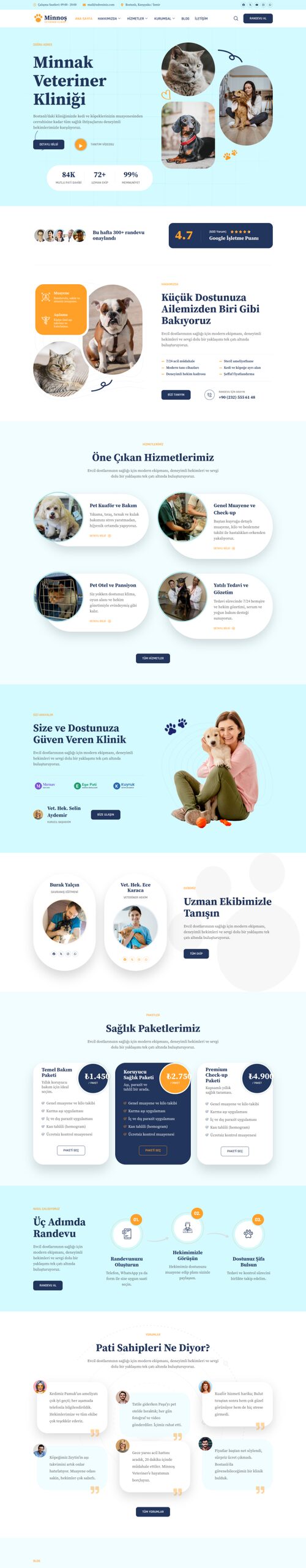 Veteriner web sitesi tasarımı