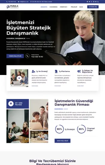Danışmanlık hazır web sitesi tasarımı